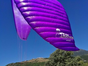 little cloud goose mk3 bouts d'aile