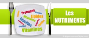 nutriments nutrition vol libre