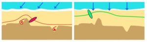 soaring-parapente-orientation-du-vent