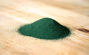 spiruline en poudre