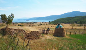 lac Prespa Albanie