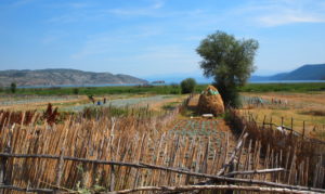 lac Prespa Albanie