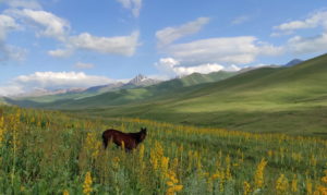 Kirghizistan