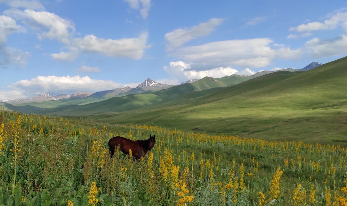 Kirghizistan