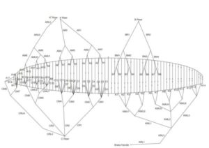 Plan suspentage Ozone Delta 4