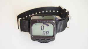 Micro Alti 2 de Fairhaven avec son bracelet