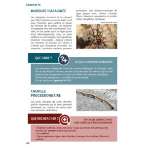 Guide des premiers secours en plein air et en milieu isolé - morsure d'araignée