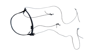 Accélérateur double SUPAIR 2B standard