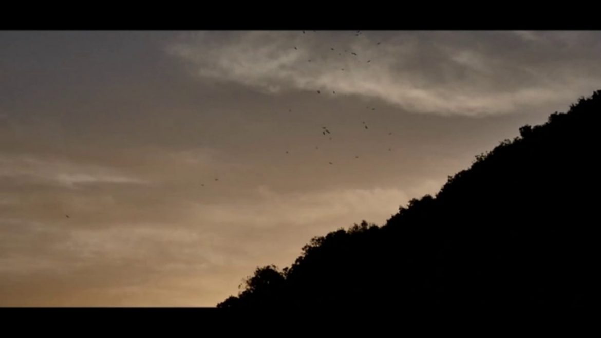“31 Days in the Sky”, 31 jours de sessions acro  de Tim Alongi
