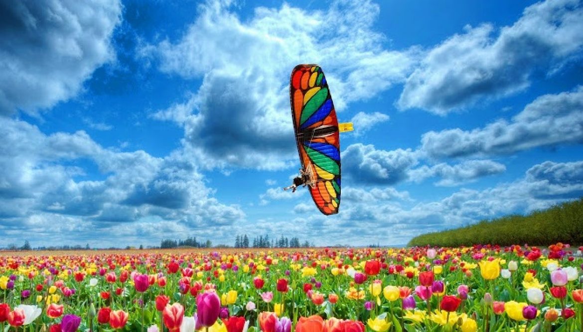 L&rsquo;aile Rama Butterfly d&rsquo;AIR DESIGN, un papillon qui bourdonne!