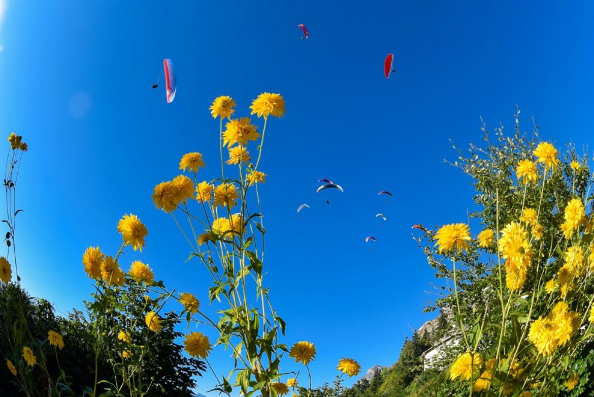 Revivre le championnat de France parapente 2014 en images