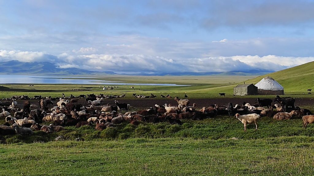 Aventure parapente au Kirghizistan : vols et bivouac d&rsquo;Aldric et Alexandre