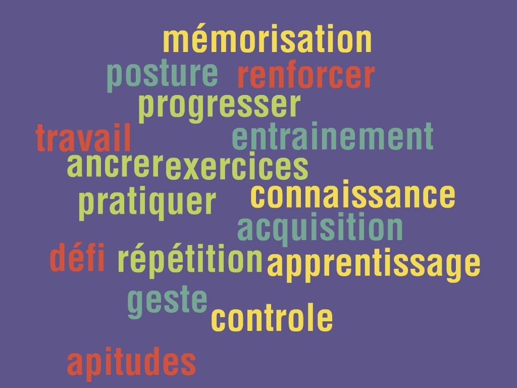 « L&rsquo;entraînement au pilotage » par Maxime Bellemin