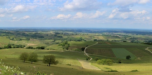Cross de Plaine, un site qui recense tous les records de plaine