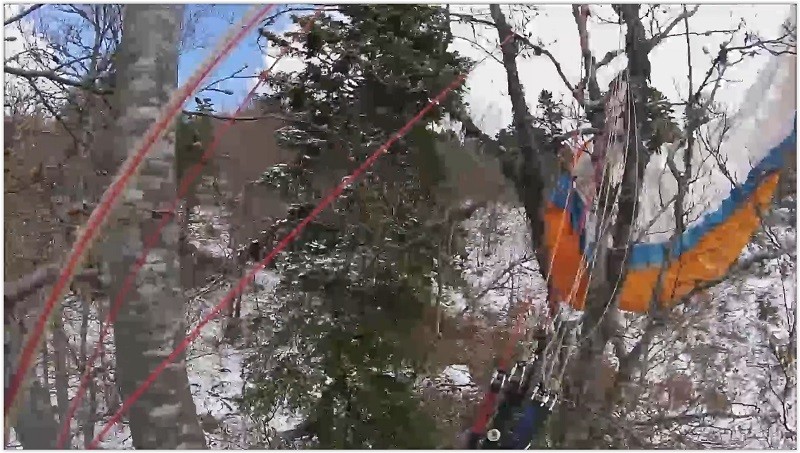 Bertrand se prend un vrac à 20 m du sol et finit dans les arbres