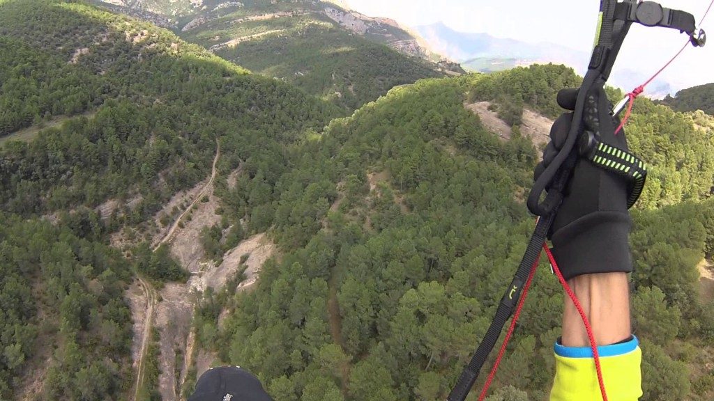 Arbrissage : finir son vol dans les arbres faute de mieux