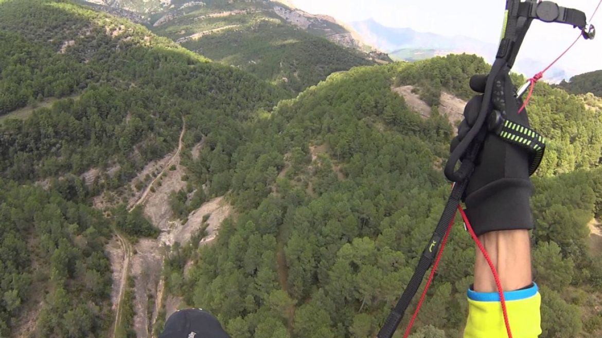 Arbrissage : finir son vol dans les arbres faute de mieux