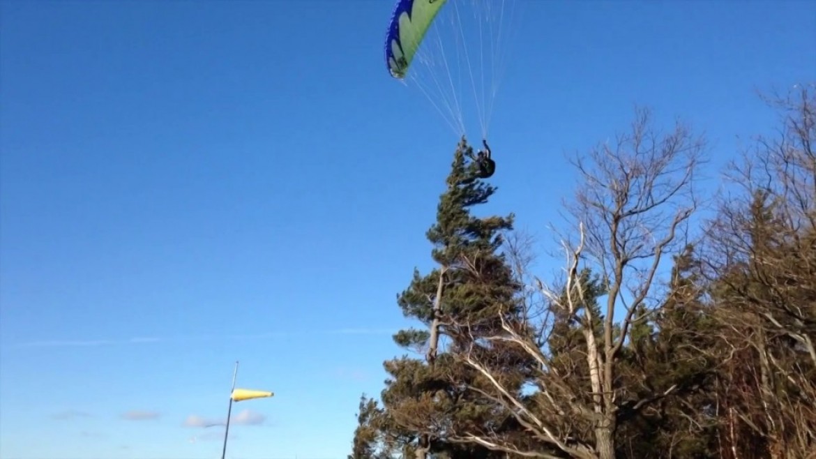 Joker de David Thibodeau : coup de pied dans la cime d&rsquo;un arbre