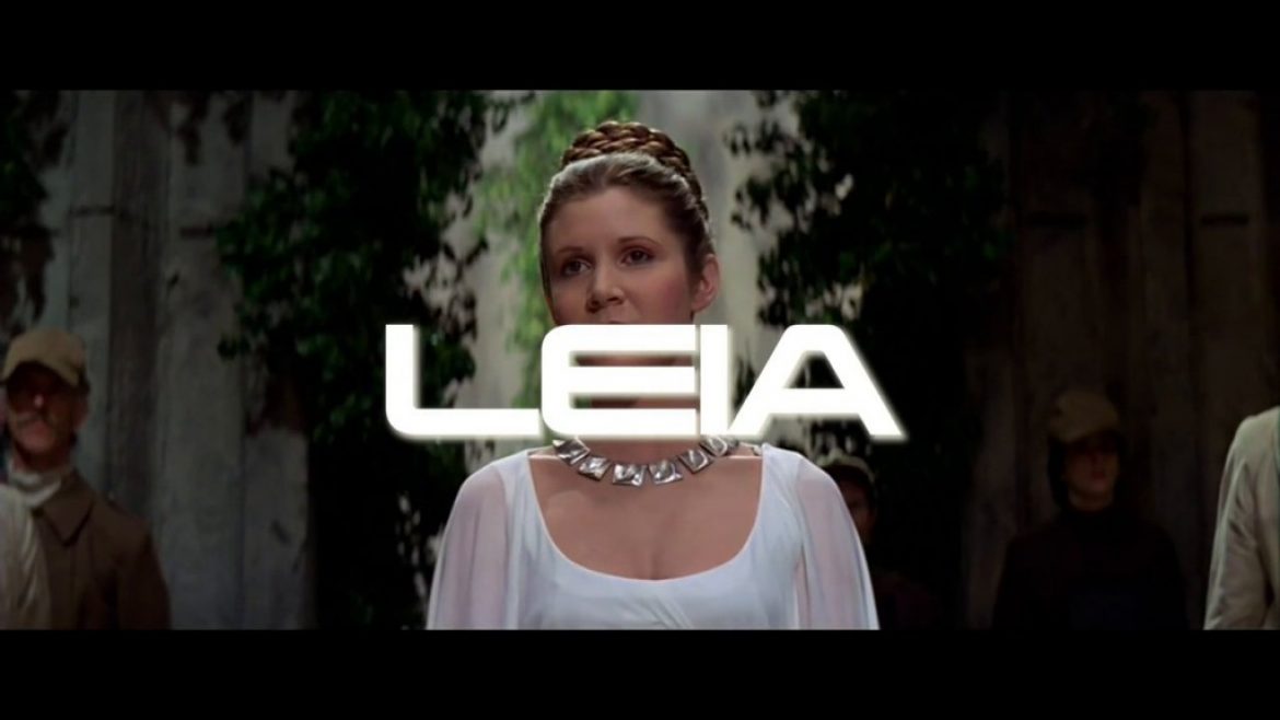 Présentation de l&rsquo;aile Leia pour skydivers