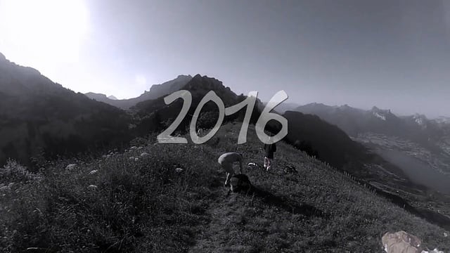 « Rétro 2016 », le best of des vols de Dominique Moreau