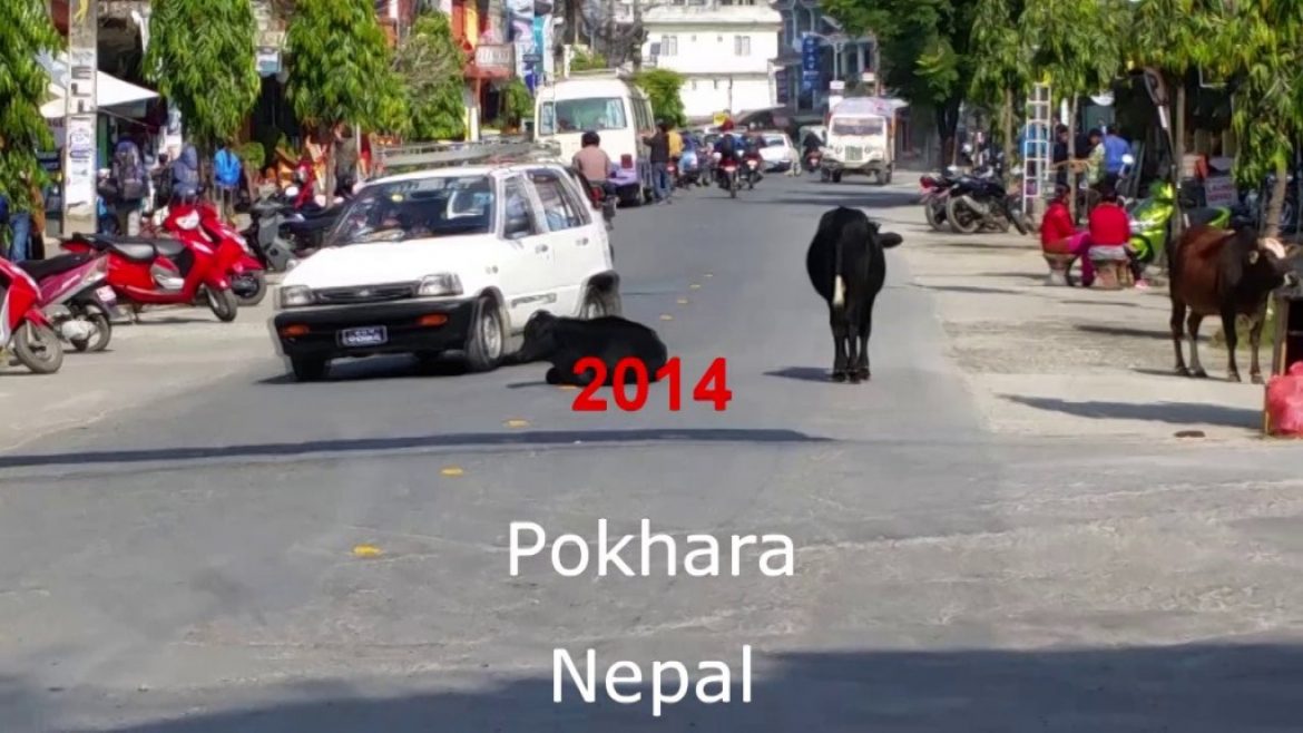 Stage parapente SIV à Pokhara au Népal