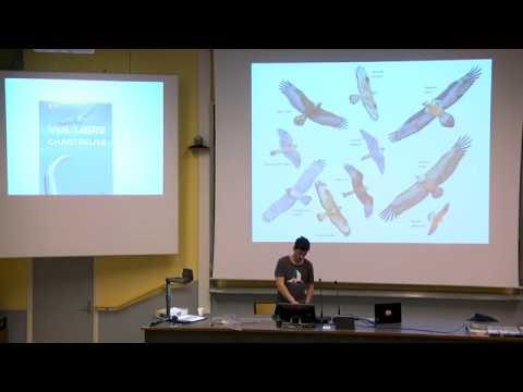 Vidéo de la conférence « Rapaces et Vol Libre » organisée pa la LPO