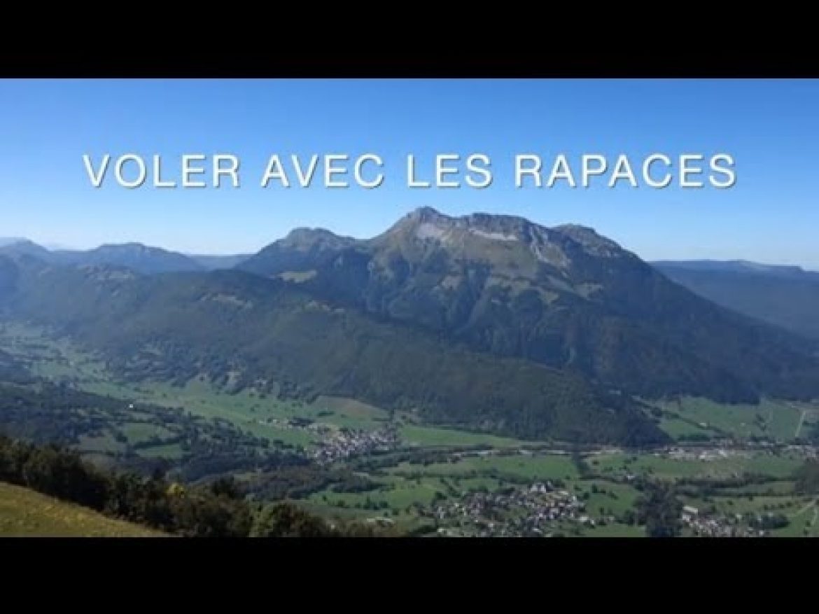 Vivre avec nos amis les oiseaux au Massif des Bauges (73)