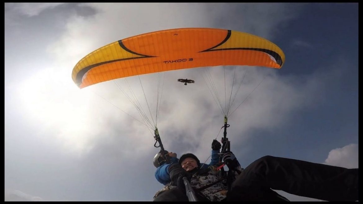 Vol tandem parapente en compagnie d&rsquo;un aigle